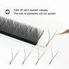 A close-up of premade volume eyelash extensions showing individual lashes and a swatch for application.
