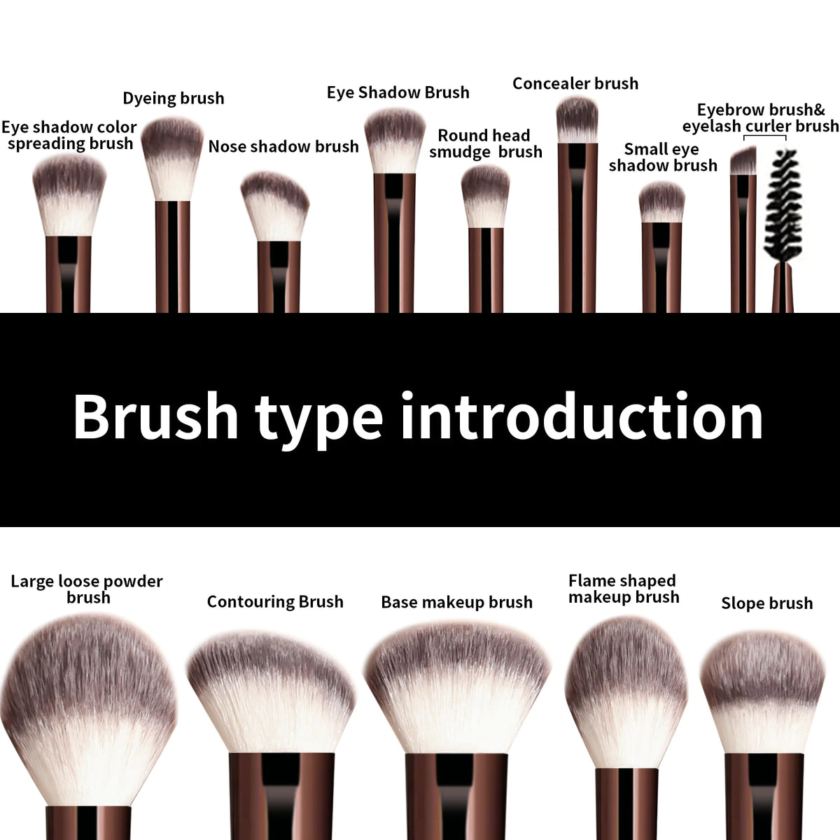 A collection of 13 professional makeup brushes including dyeing, eyeshadow, concealer, and various shaping brushes.