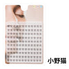 Un plateau clair d'extensions de cils individuelles pour application DIY.
