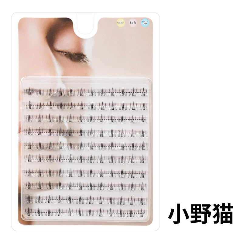 Un plateau clair d'extensions de cils individuelles pour application DIY.