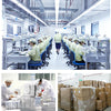 Workers in a factory environment are assembling or inspecting DIY cluster eyelash extensions.