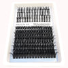 A plastic container holding individual black lashes for DIY stunning makeup looks.