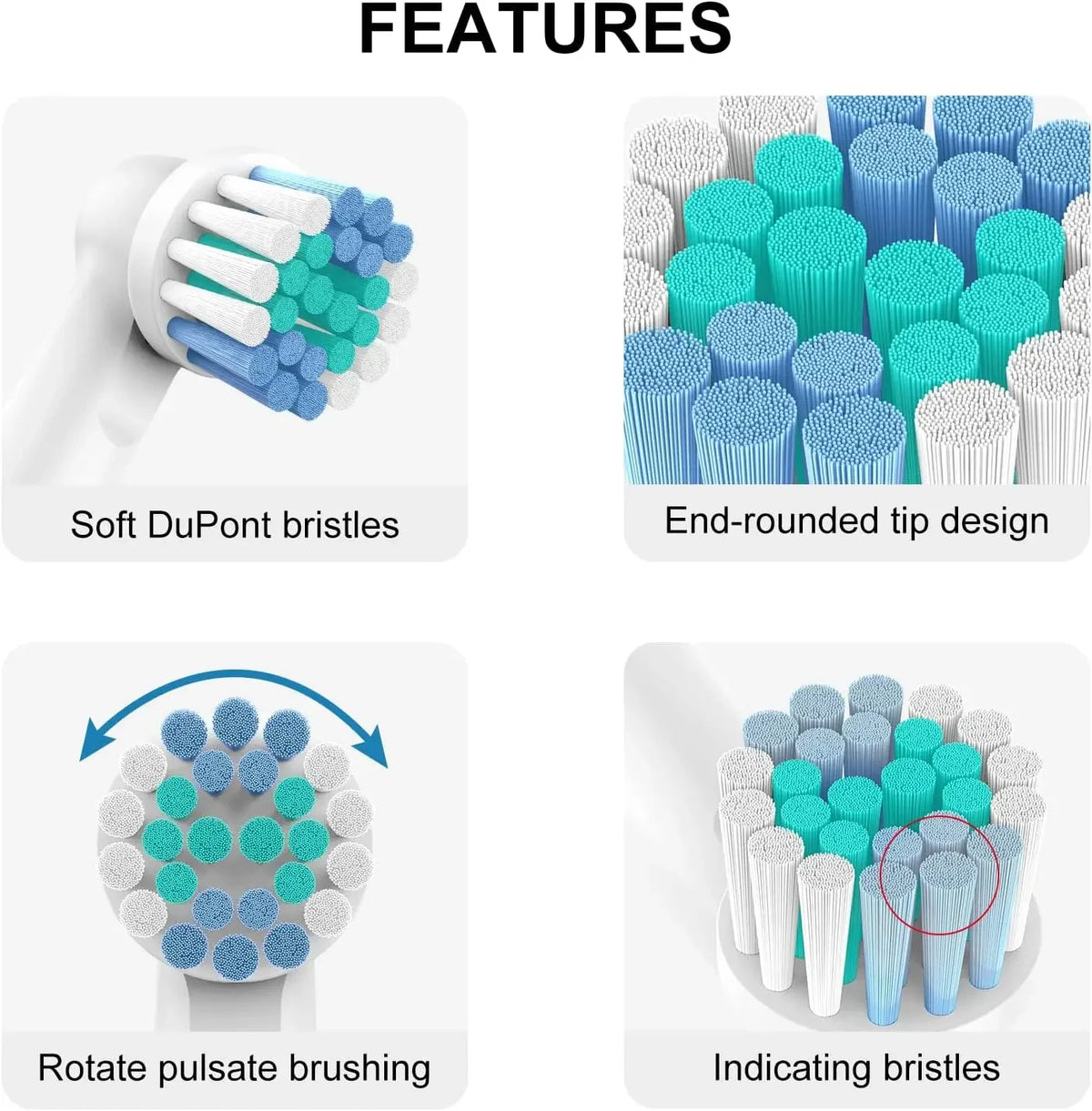 Various brush heads including soft DuPont bristles, end-rounded tips, rotating pulse brushing, and indicating bristles.