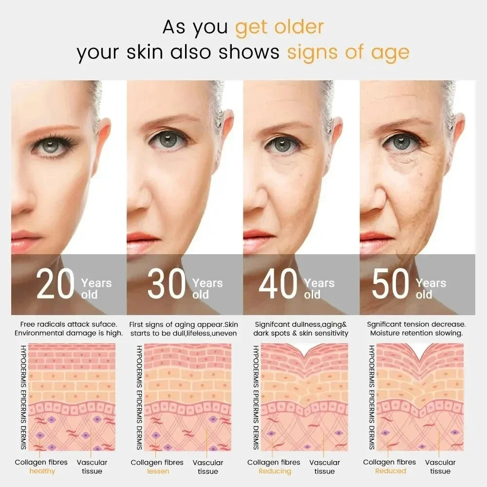 Diagram showing skin aging signs and collagen fiber changes across different ages.