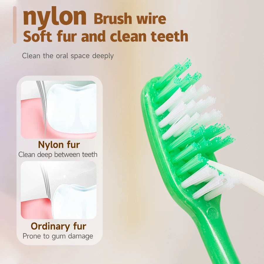 Brosse à dents en fil de nylon verte, comparée à la fourrure de nylon et à la fourrure ordinaire pour le nettoyage des dents.