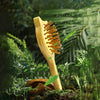 A light wood bamboo hair brush is shown amidst lush green foliage and plants.
