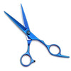 A pair of professional 6-inch stainless steel hairdressing scissors with blue handles and blades.