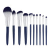 A set of ten professional makeup brushes with silver handles and dark blue bristles.