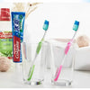Un set de six brosses à dents Colgate et un tube de dentifrice Colgate sont présentés à côté d'un verre.