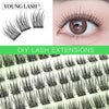 A close-up of a single eye showing natural looking lash extensions and a tray of DIY lash extensions.