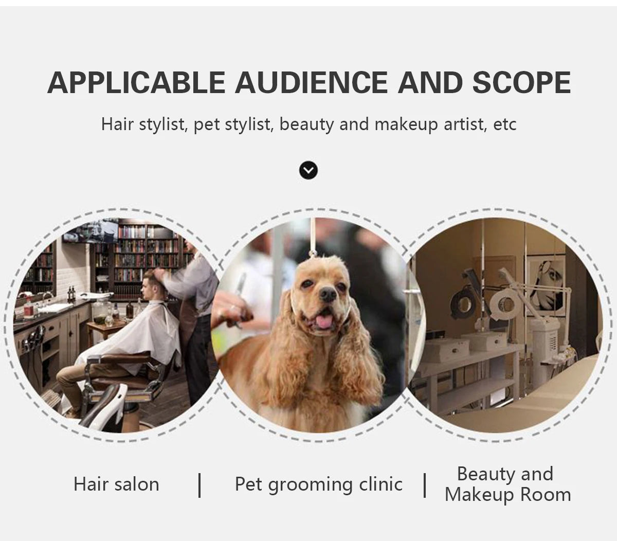A collage showing various beauty services including a hairstylist, a dog grooming session, and a makeup artist setup.