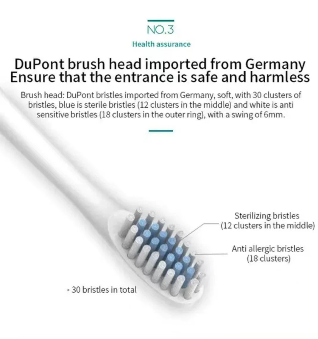 A white DuPont brush head with blue and white bristles imported from Germany.