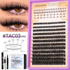 A package of Groinneya professional eyelash extension kits showing various lash styles and lengths.