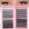 Natural Wispy Cluster Eyelash Extensions