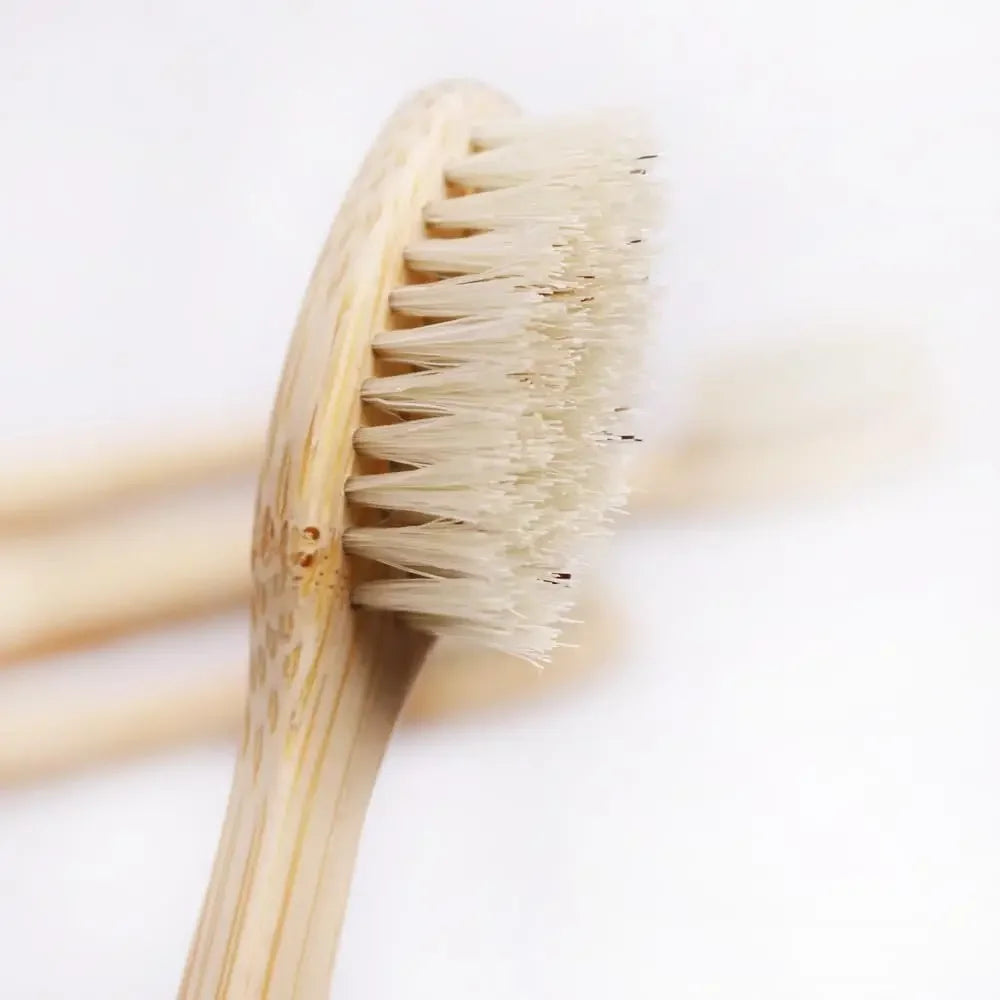 A close-up view of an eco-friendly bamboo toothbrush with natural bristles against a white background.