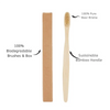 A light brown bamboo toothbrush with a natural boar bristle brush and box.