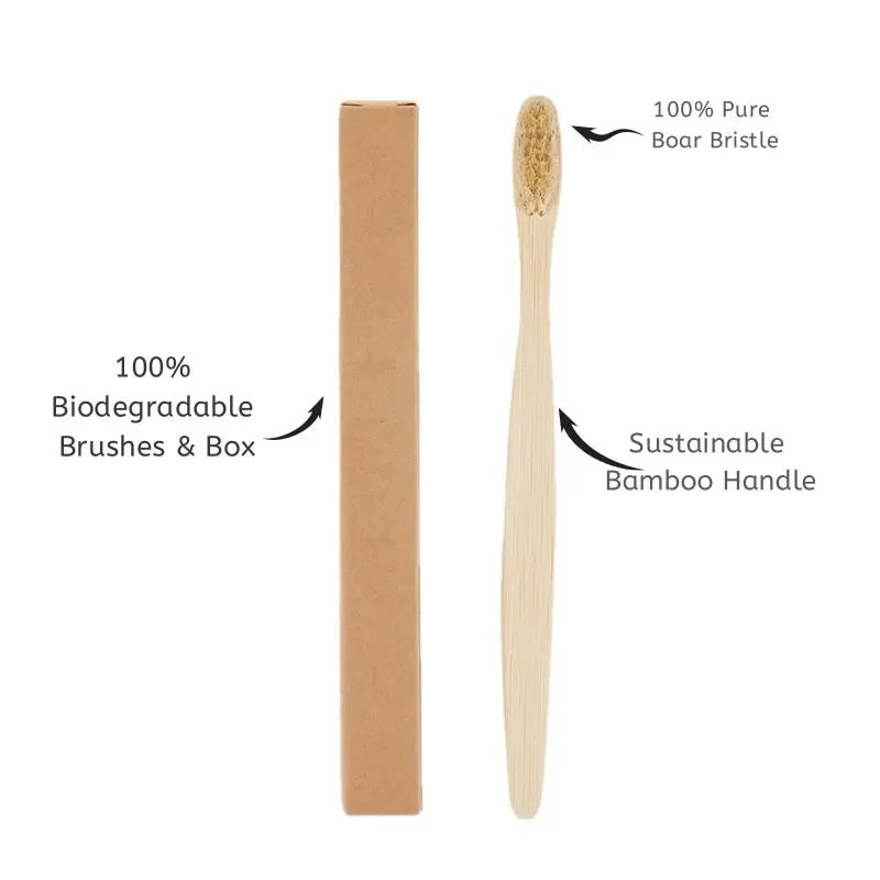 A light brown bamboo toothbrush with a natural boar bristle brush and box.