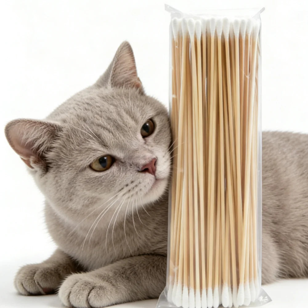 A gray cat looking at a pack of precision wooden cotton swabs.