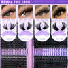 Présentation de clusters de cils Queenice DIY audacieux et complets dans diverses longueurs et styles.