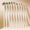A set of natural makeup brushes with white handles and various brush heads displayed in a row.