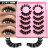 A pink tray holds a set of black wispy cat eye false eyelashes for eyes.