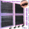 Une boîte de clusters de cils Queenice montrant divers styles et longueurs pour cils doux et volume épais.