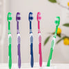 Une collection de brosses à dents manuelles colorées en vert, violet et rose sont présentées sur un plateau blanc.