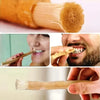 Natürliche Miswak-Zahnbürste in verschiedenen Formen, als Stiel und Bürstenkopf.