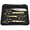 A black case containing professional stainless steel hair cutting scissors and a comb.