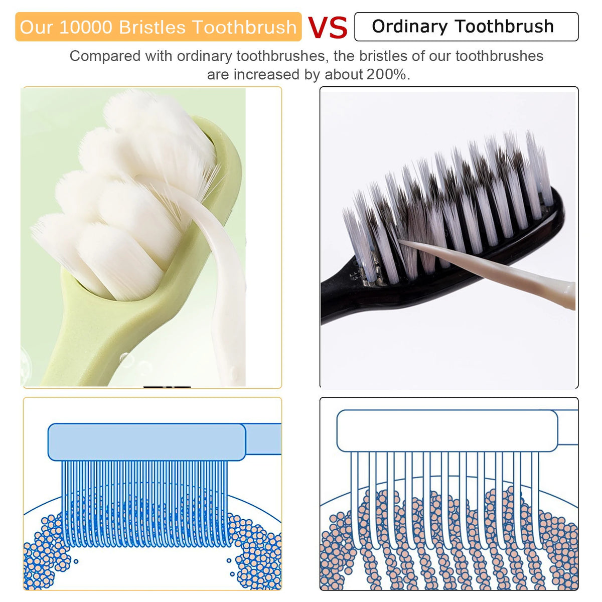 Comparaison montrant les poils d'une brosse à dents avec des poils augmentés d'environ 200% par rapport à une brosse ordinair