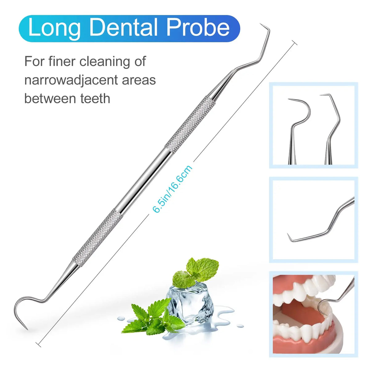 A long stainless steel dental probe with multiple tips shown next to mint leaves and a model of teeth.