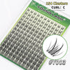 A sheet of eyelash clusters for DIY lash extensions, labeled Young Lash Clusters Curl C.