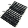 A tray of black false eyelashes, labeled 60D and 80D, displayed diagonally.