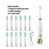 A set of electric toothbrush parts including a body, USB charging cable, and twelve brush heads.
