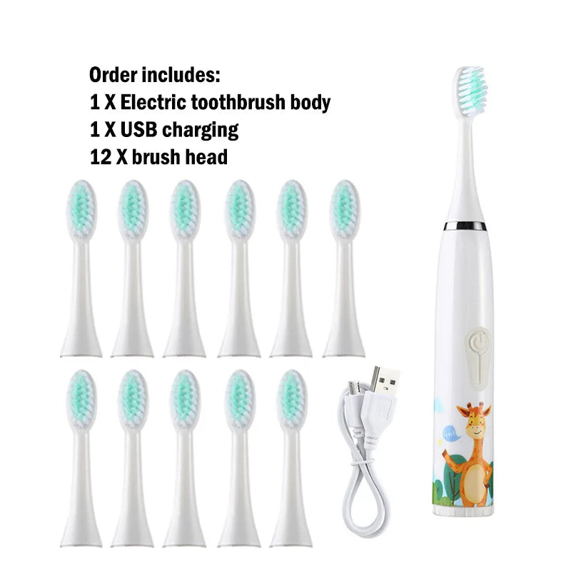 A set of electric toothbrush parts including a body, USB charging cable, and twelve brush heads.