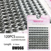 A package of 120 pieces of Miofia cluster lashes showing various lash styles and lengths.