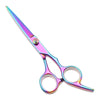 A pair of professional stainless steel hairdressing scissors with a iridescent purple and blue finish.