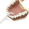 A portable teeth flosser cleaning stick set with white teeth and a pink cleaning solution.