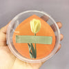 An orange makeup puff set with a yellow tulip design is shown inside a clear plastic storage box.