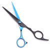 A pair of professional 6-inch stainless steel hairdressing scissors with blue and black handles.