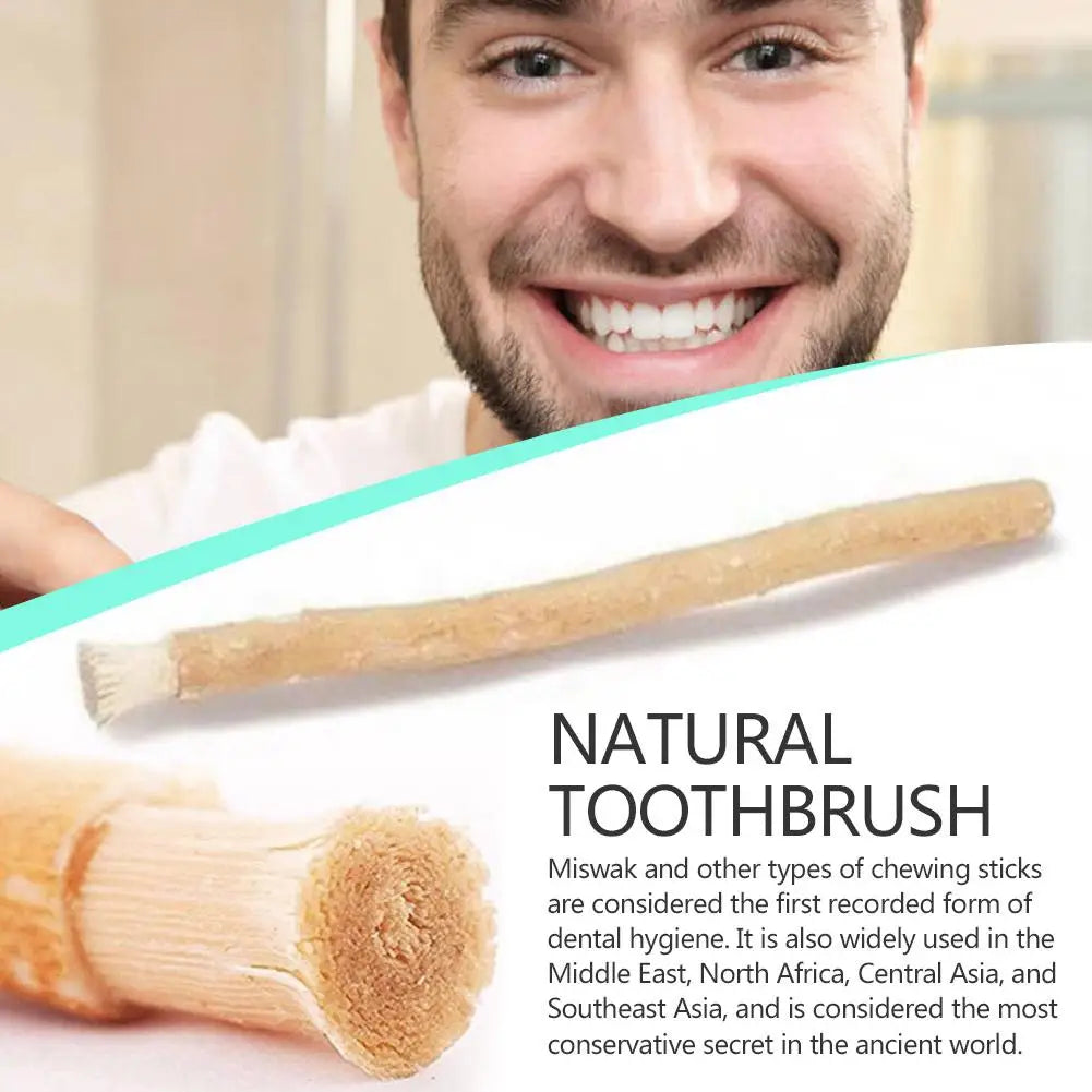 A man smiling while holding a natural chewing stick toothbrush used for dental hygiene.