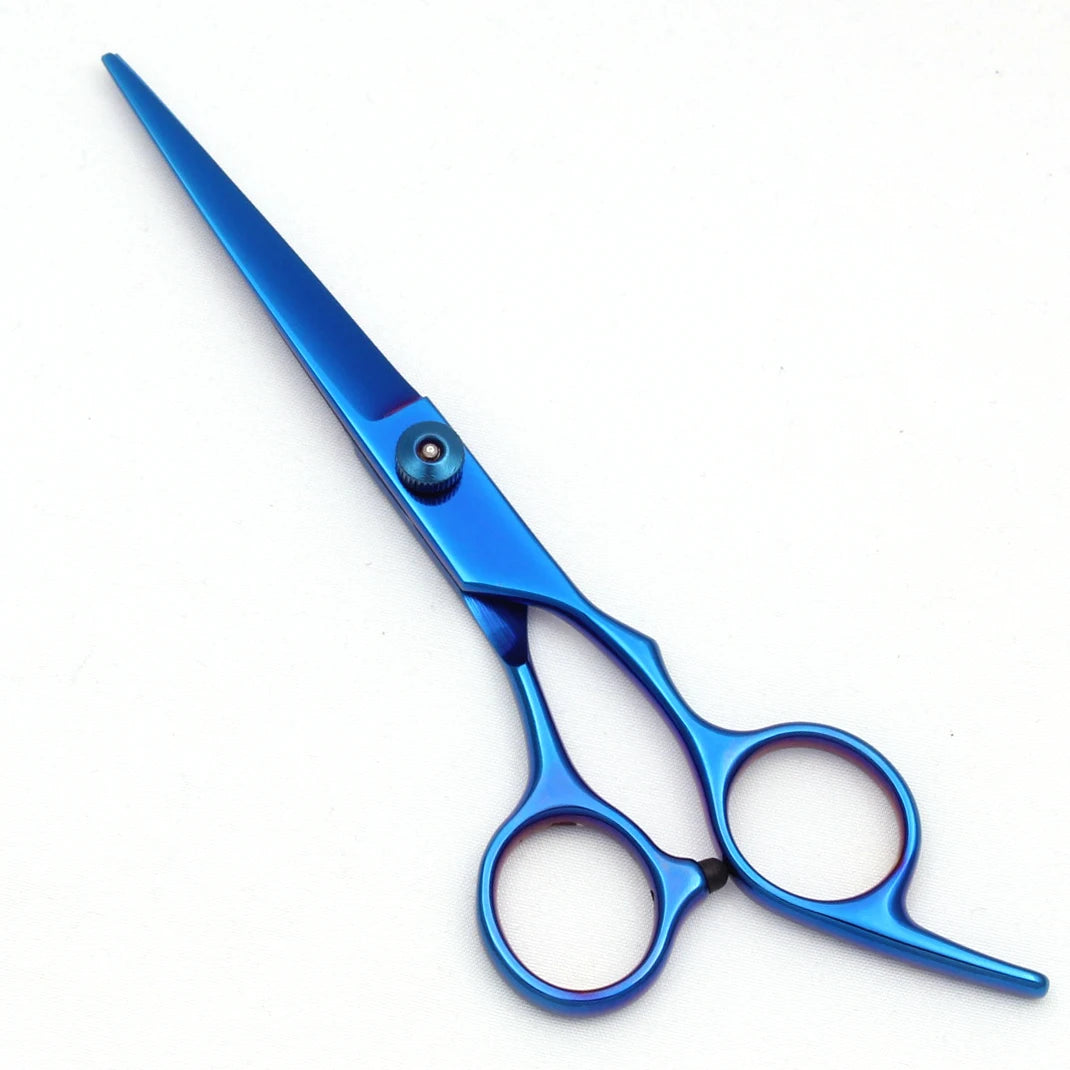 A pair of professional stainless steel hairdressing scissors with a blue handle and silver blades.