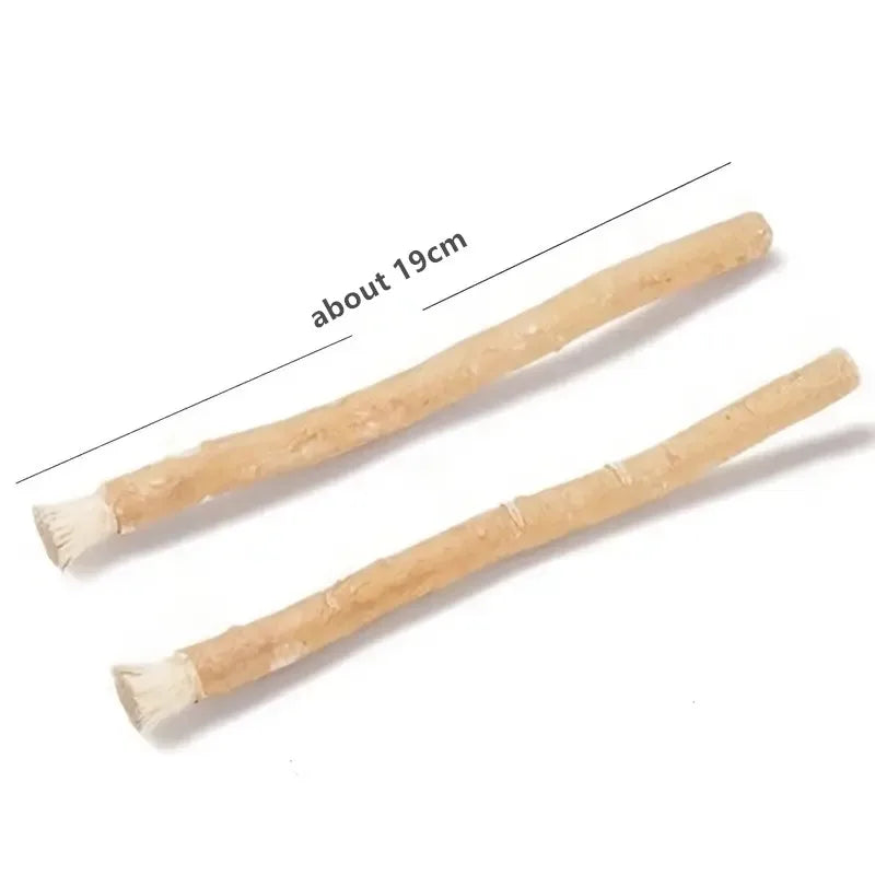 Natürliche Miswak-Zahnbürste, ca. 19 cm lang, diagonal vor weißem Hintergrund.
