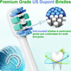 Premium grade US Dupont bristles shown on a toothbrush head and a magnified view of the end-rounded bristles