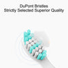 A collection of DuPont Bristles replacement toothbrush heads in various shades of blue and gray on a white holder.