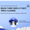 A close-up view of a new Type C eco-friendly brush head for a U-shaped 3D toothbrush set.